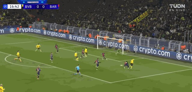 扎比策.gif